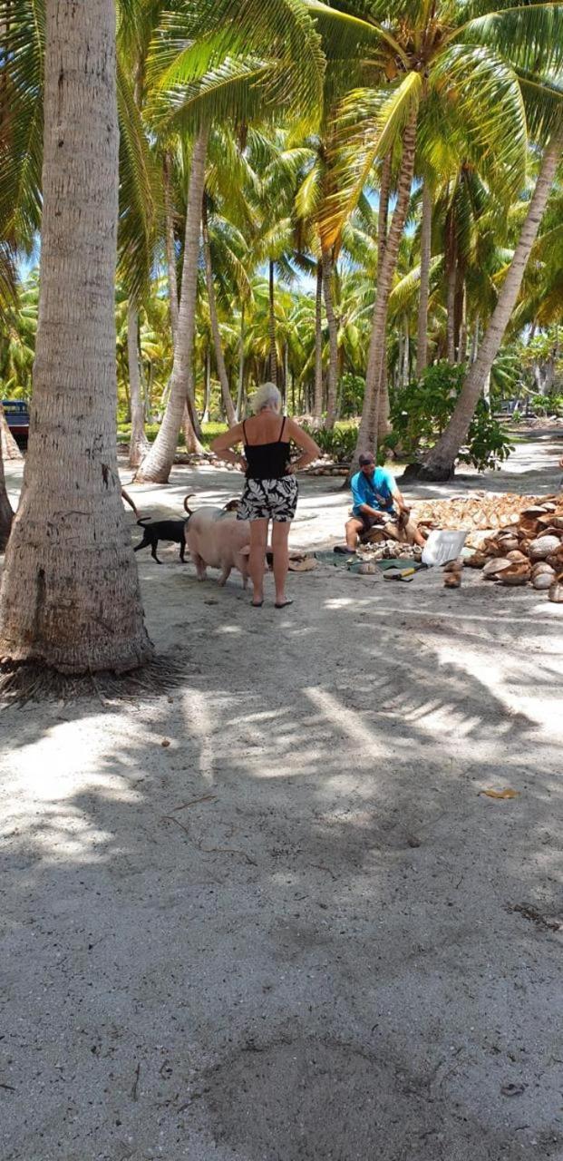 Poemanahere Island Camping A Maupiti Te-Fare-Arii Exterior photo